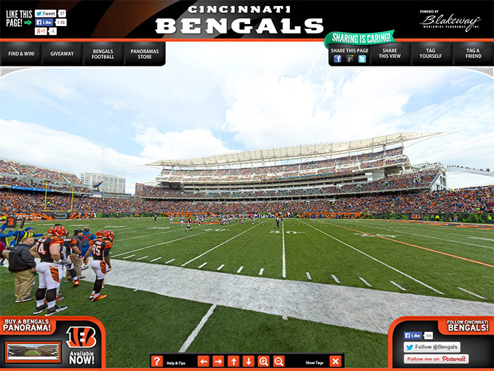 Cincinnati Bengals