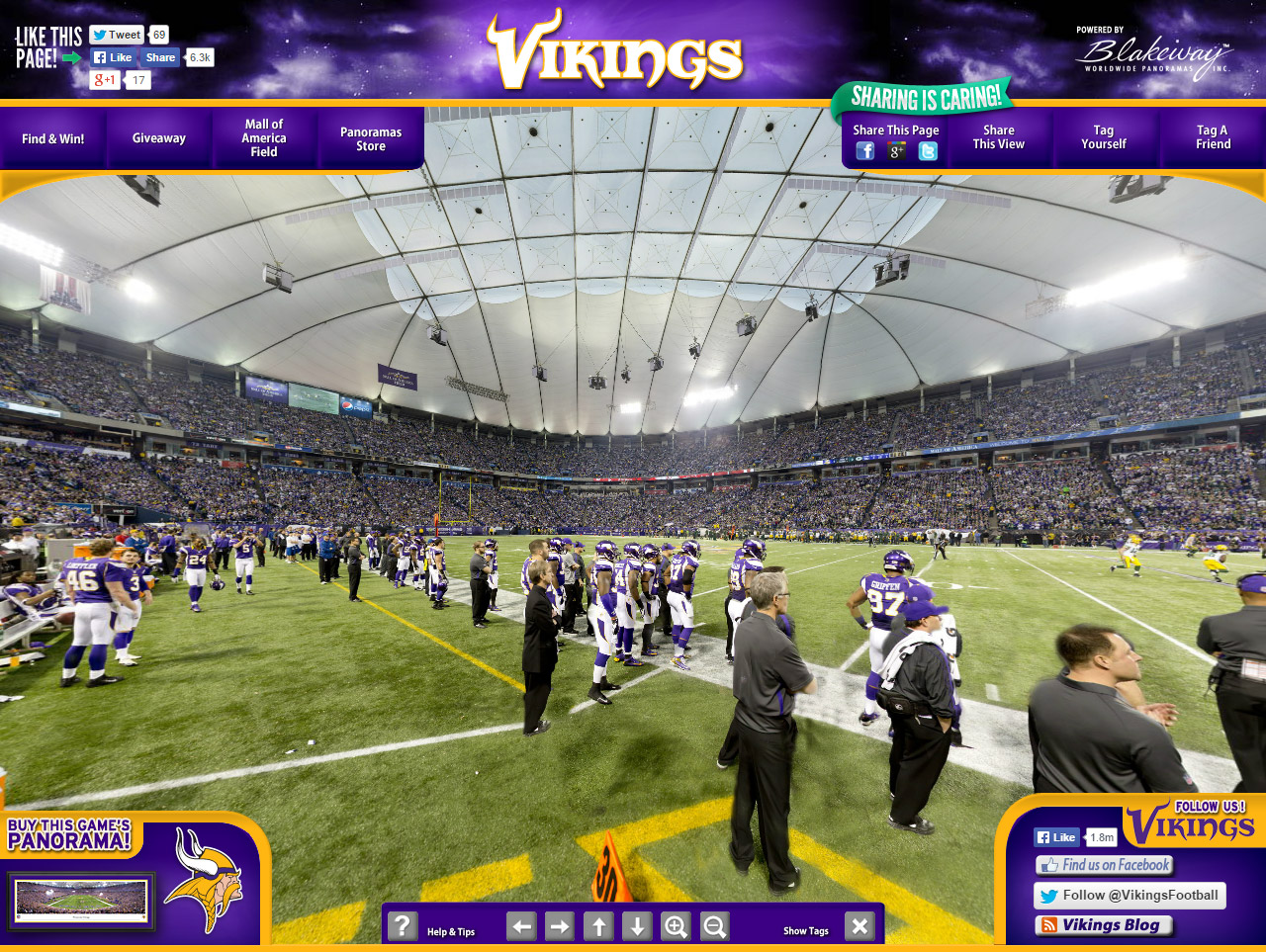 Minnesota Vikings