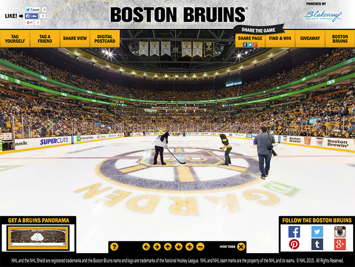 Boston Bruins