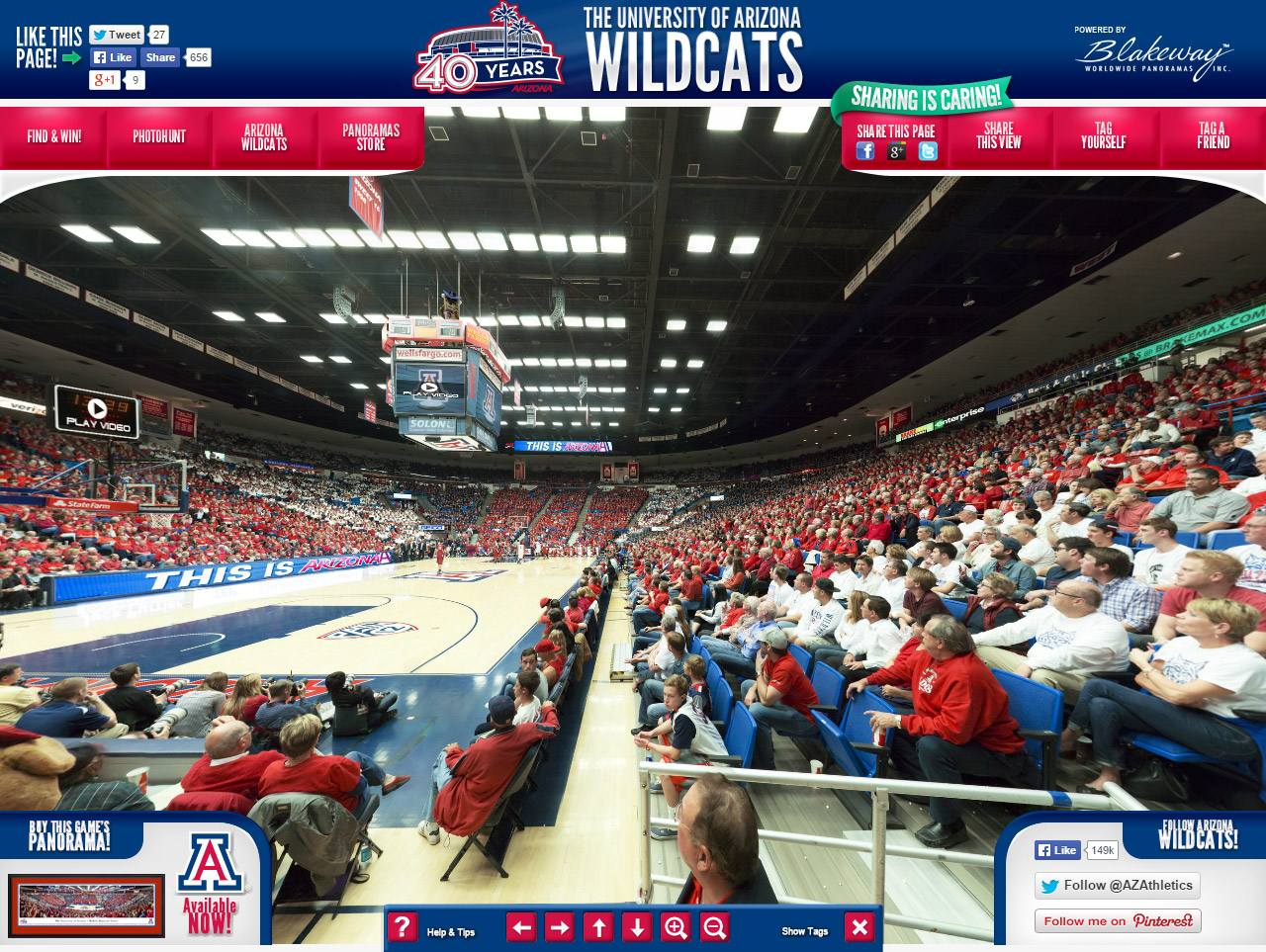 Arizona Wildcats