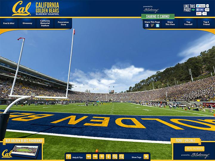 CAL Golden Bears