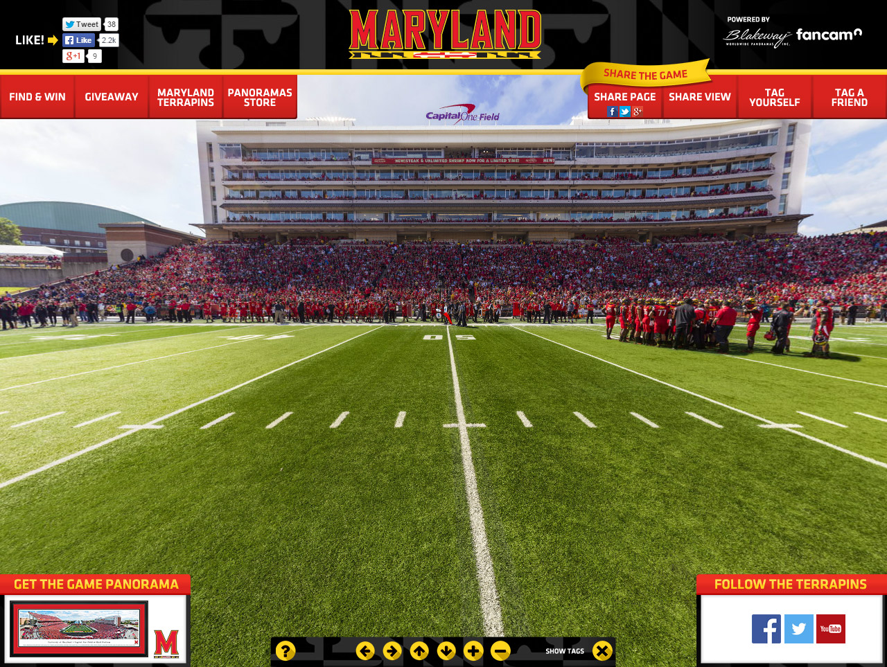 Maryland Terrapins