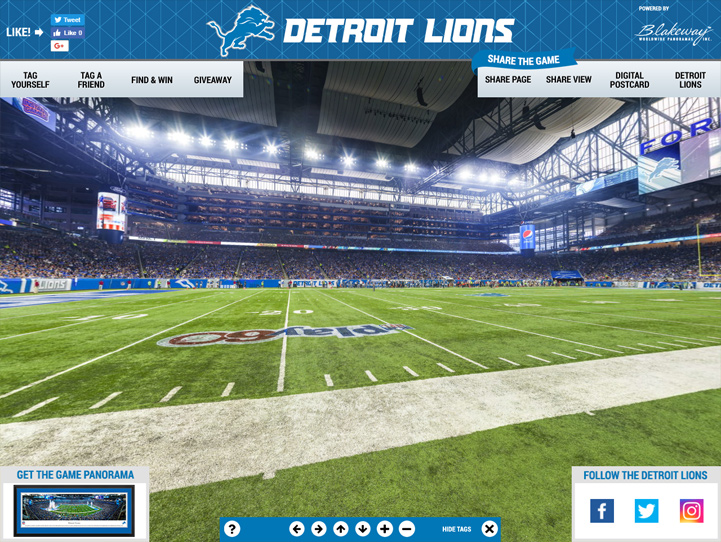 Detroit Lions